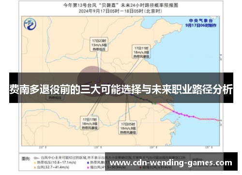 费南多退役前的三大可能选择与未来职业路径分析