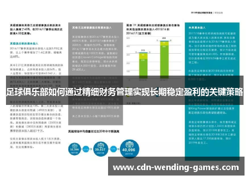 足球俱乐部如何通过精细财务管理实现长期稳定盈利的关键策略 足球俱乐部如何通过精细财务管理实现长期稳定盈利的关键策略