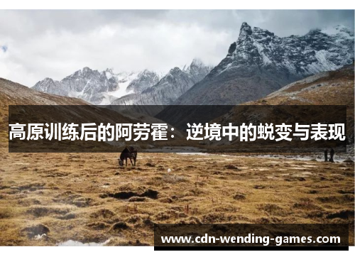 高原训练后的阿劳霍：逆境中的蜕变与表现